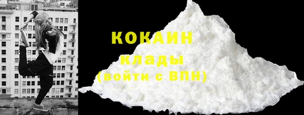 крисы Дмитриев