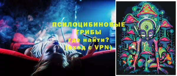 метадон Алексин